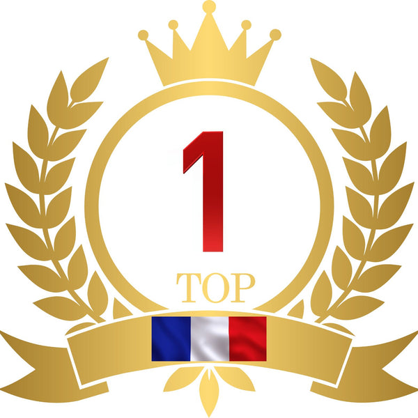 Le Top des Jouets