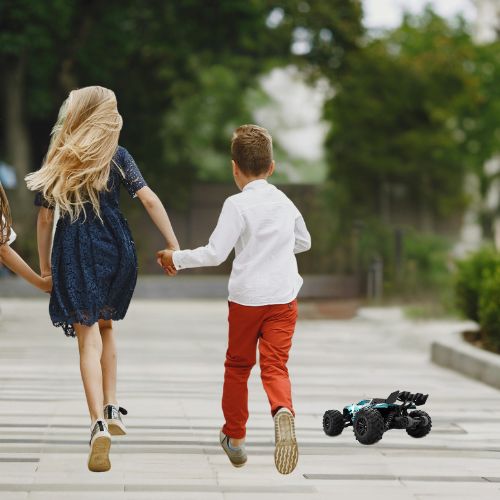 Voiture télécommandée tout terrain socialisation