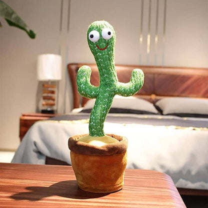 cactus-qui-parle-décoration